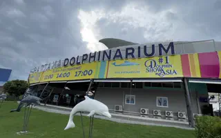 Pattaya Dolphinarium: Regular, Deluxe or VIP seats?
