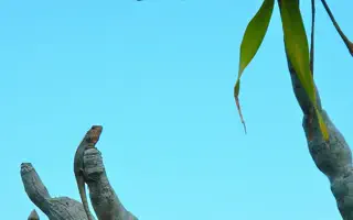 Ao Nam Mao vs Ao Nang