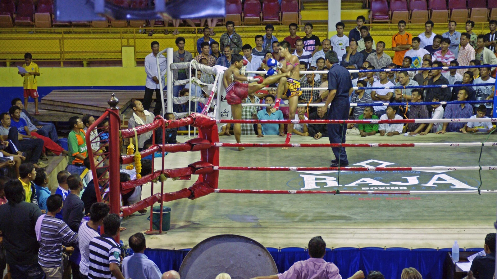 Koh Samui Muay Thai Class vs Fight Night: Which Fits You?