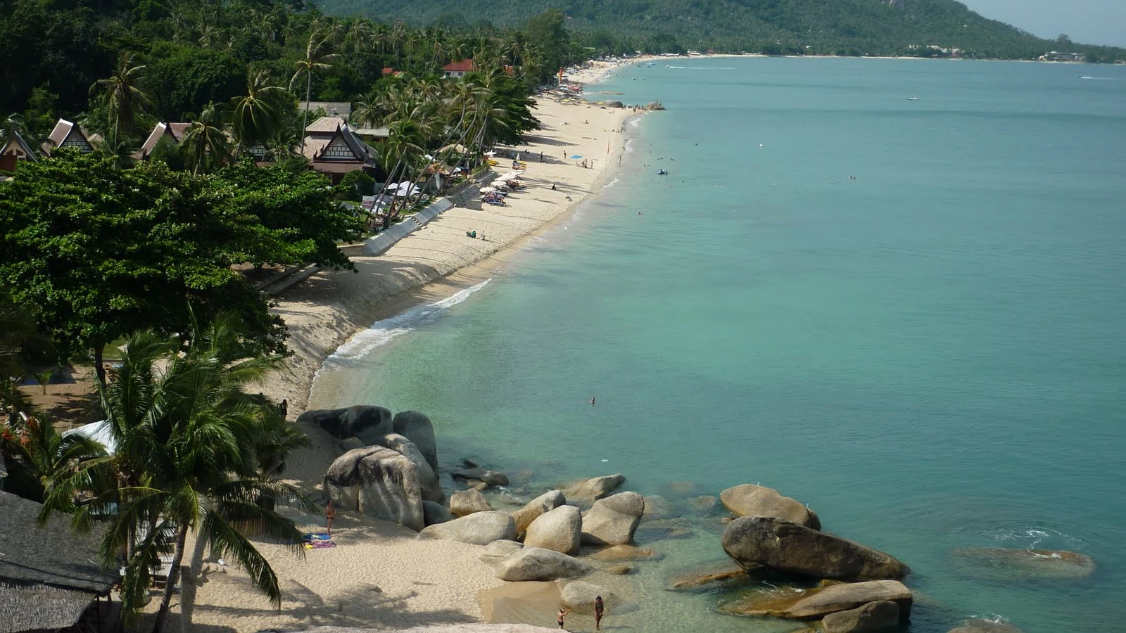 Koh Samui Yoga Class vs Wellness Half-Day: Which Reset Fits Your Trip?