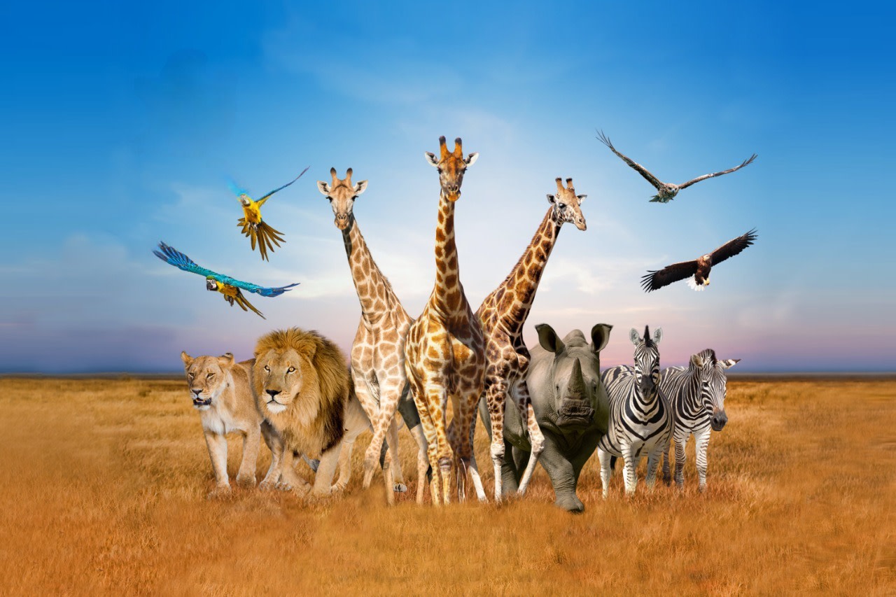 Safari World Bangkok: is the full-day ticket worth it?