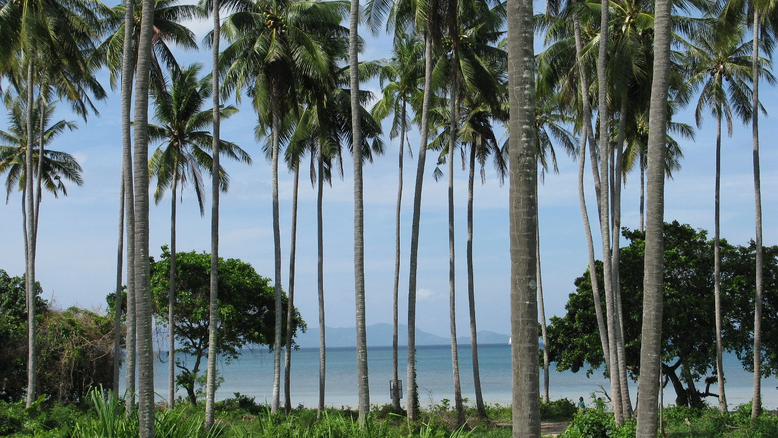 Klong Muang vs Ao Nang: Which Krabi Base Fits a Resort-First Trip?